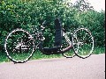 IMG_0.jpg