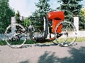 IMG_3.jpg
