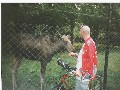 IMG_2.jpg