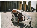 IMG_6.jpg