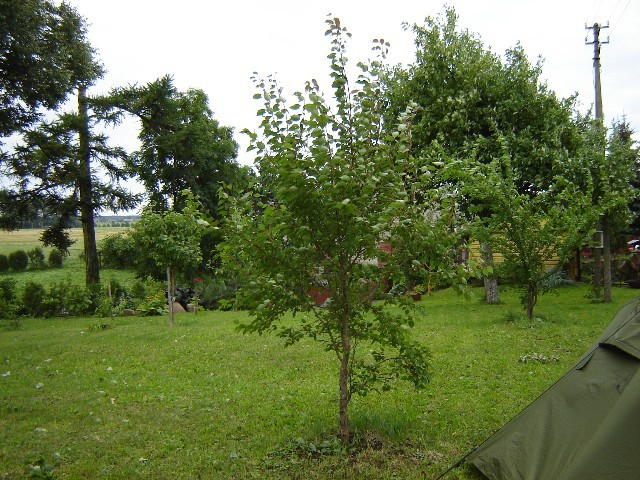 Pierwszy_nocleg_za_granica.jpg
