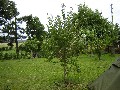 IMG_32.jpg