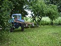 IMG_33.jpg