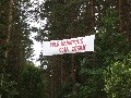 IMG_39.jpg