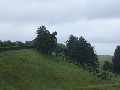 IMG_58.jpg