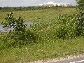 IMG_61.jpg