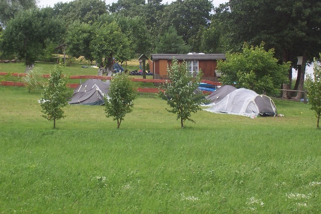 113.jpg