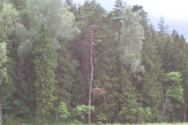 135.jpg