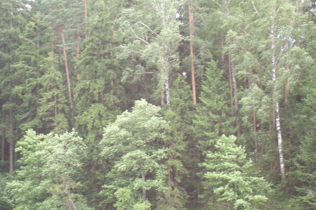 136.jpg