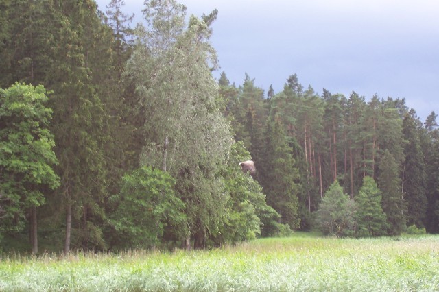 137.jpg