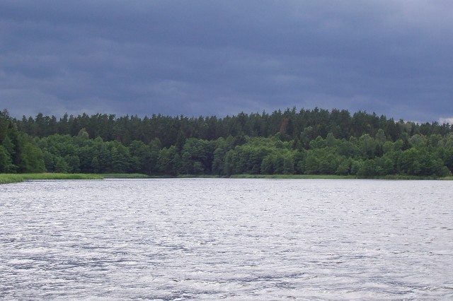 138.jpg