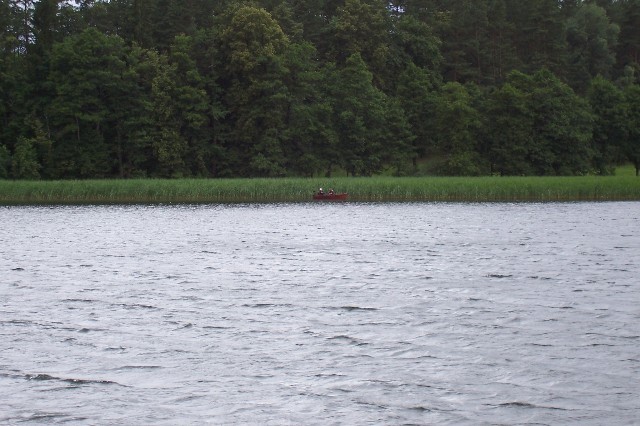 139.jpg