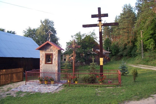 195.jpg