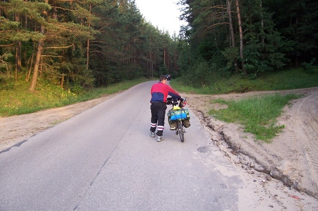 196.jpg