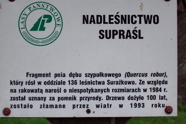 199.jpg