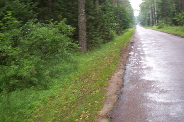 221.jpg