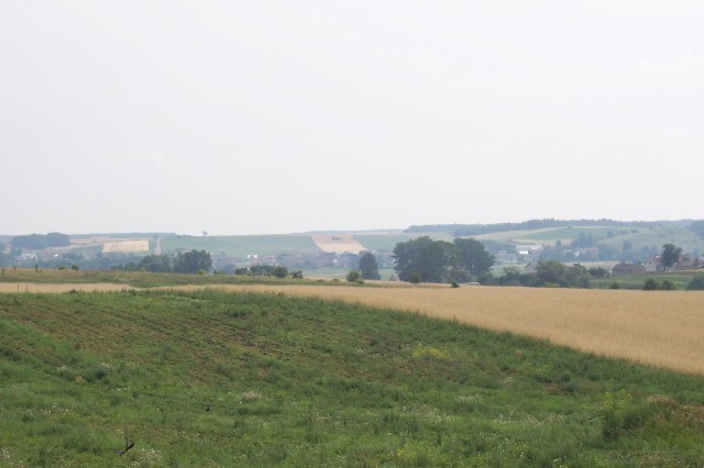 26.jpg
