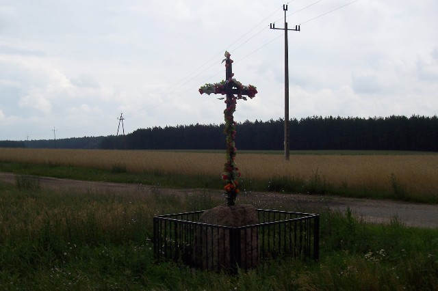 36.jpg