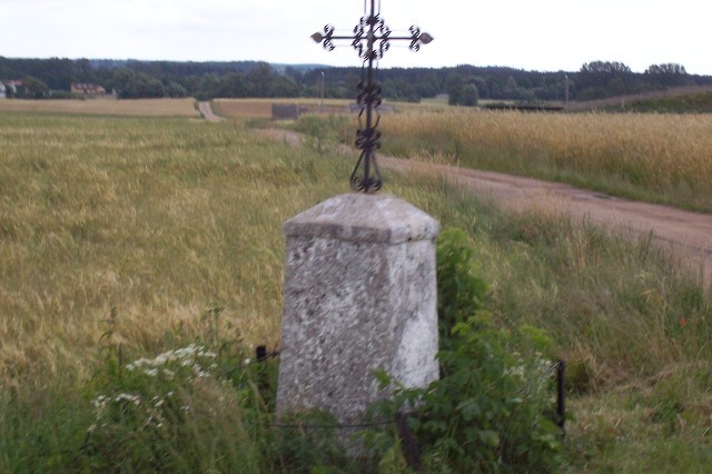 43.jpg