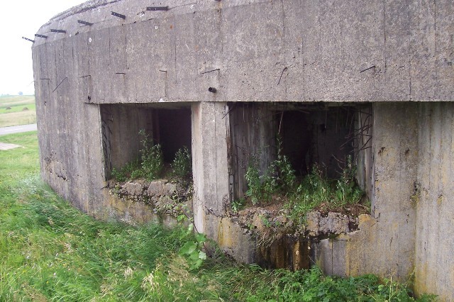 95.jpg