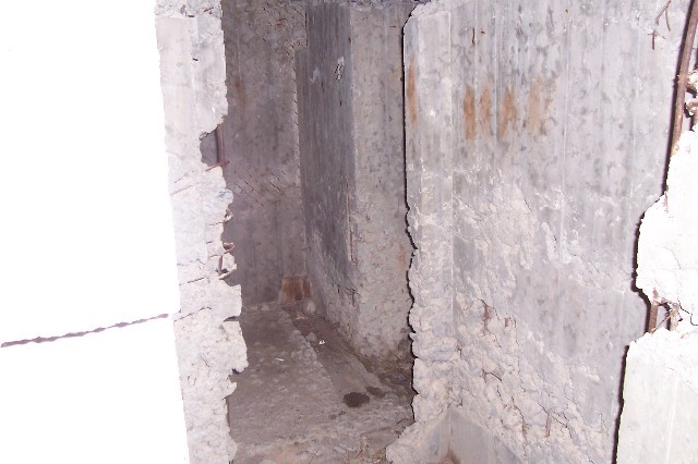 96.jpg