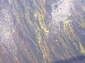 IMG_115.jpg