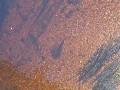 IMG_116.jpg