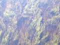 IMG_117.jpg