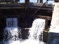 IMG_128.jpg