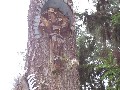 IMG_144.jpg