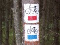 IMG_148.jpg