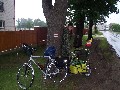 IMG_149.jpg