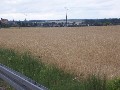 IMG_33.jpg