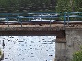 IMG_42.jpg