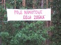 IMG_46.jpg