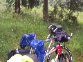 IMG_49.jpg