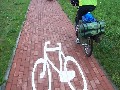 IMG_54.jpg