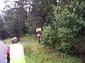 IMG_56.jpg