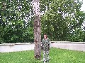 IMG_77.jpg