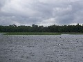 IMG_88.jpg