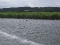 IMG_92.jpg