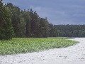 IMG_93.jpg