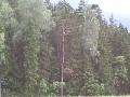 IMG_94.jpg