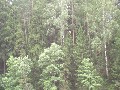 IMG_95.jpg