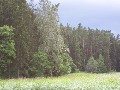 IMG_96.jpg