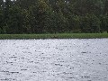 IMG_98.jpg